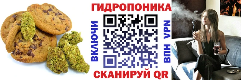 Купить  Лаишево  Canna-Cookies конопля 