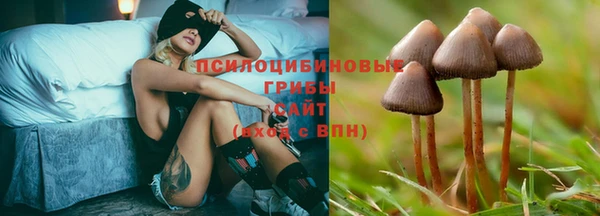 хмурый Всеволожск