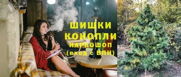 МДПВ Видное