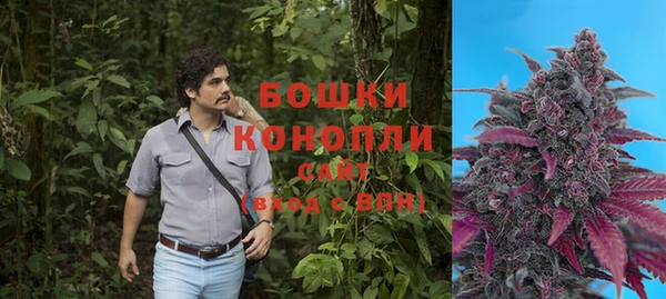 гашик Вуктыл