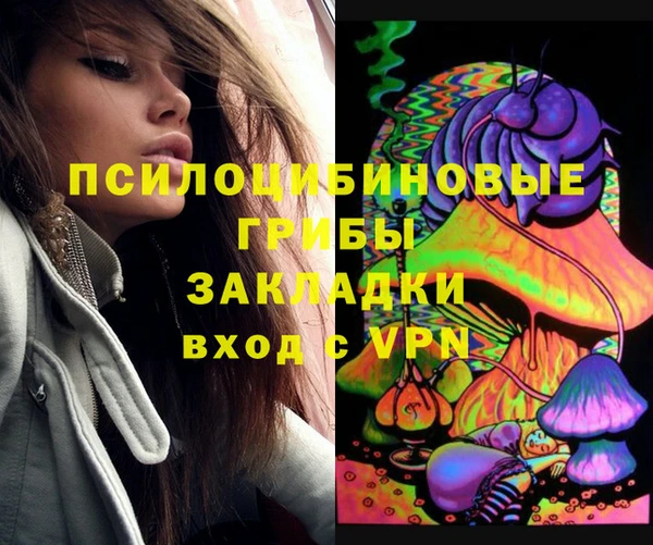 МДПВ Видное