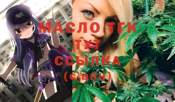 СК Ветлуга