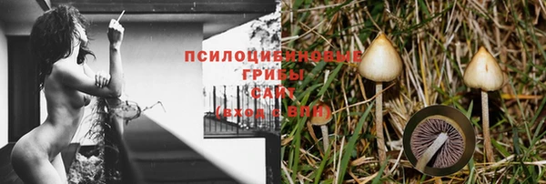СК Ветлуга