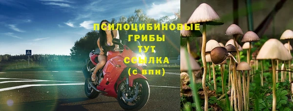 apvp Воткинск