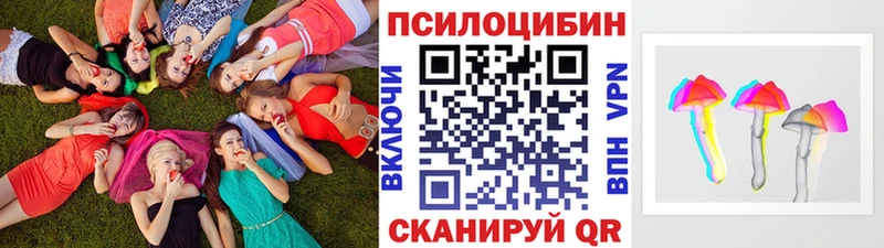 Купить закладки  Лаишево  Галлюциногенные грибы Psilocybe 